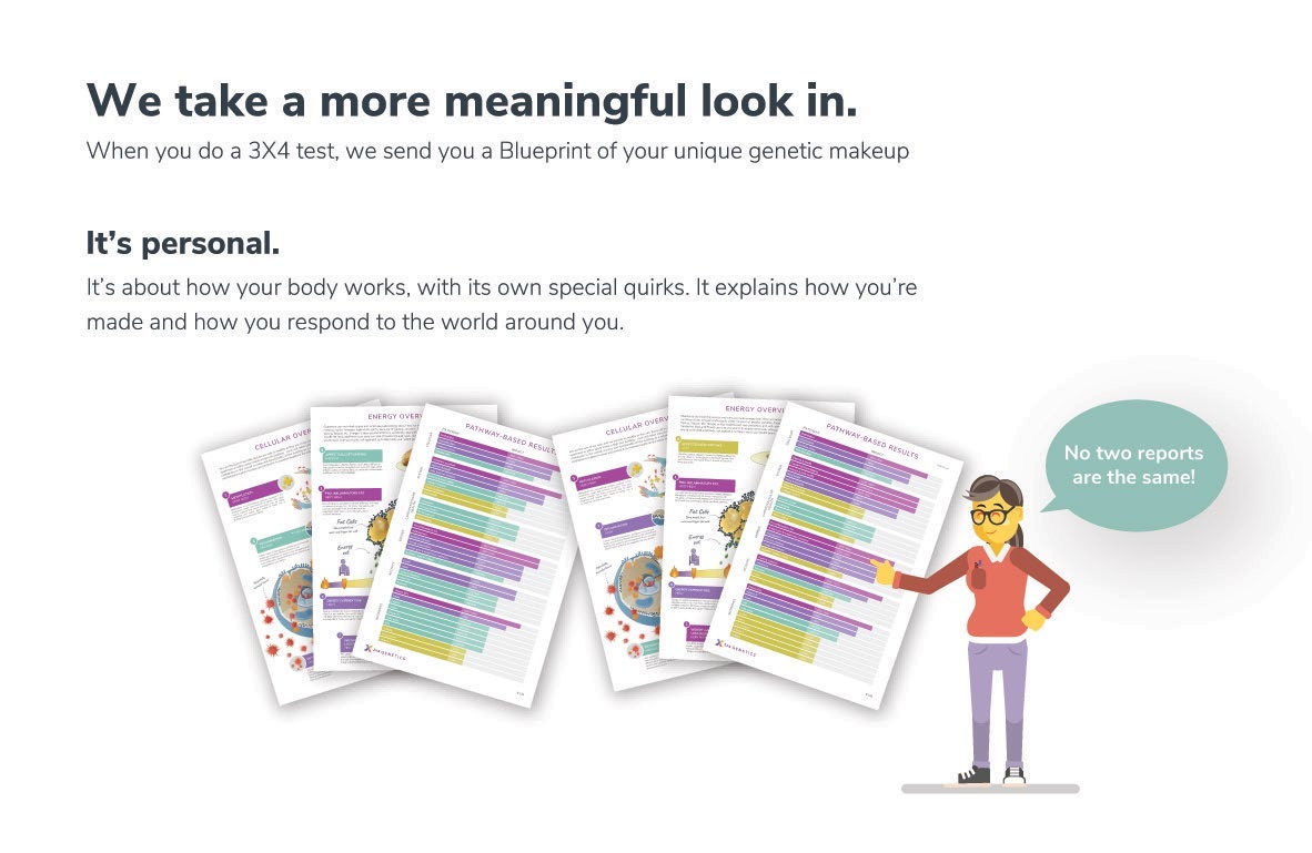 3X4 brochure illustration showing its color-coded Blueprint report pages