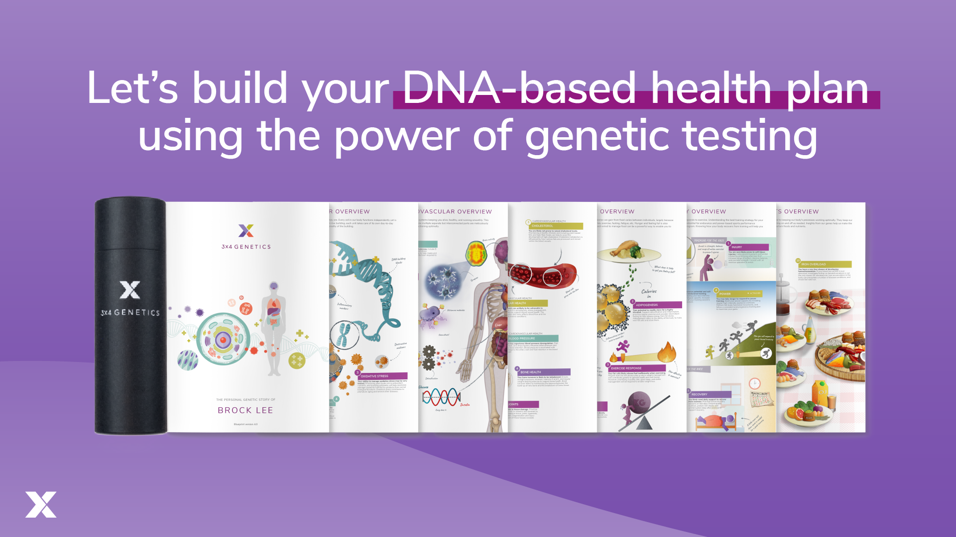 Illustrated pages from the 3X4 genetic Blueprint report